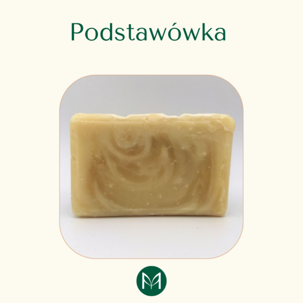 Podstawówka