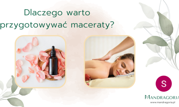 Odkrywanie Mocy Natury: Przygotowywanie Maceratów Ziołowych